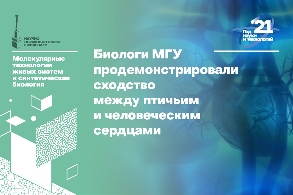 Вайсберг евгений молекулярная биология мгу. Кафедре внд. Физиология мгу. Кафедра биохимии биофак мгу. Физиология мгу.
