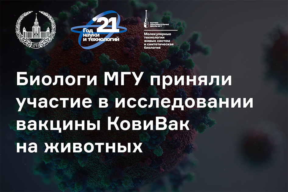Новые Исследования О Коронавирусе 2022 Год