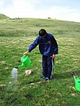 Участник кавказской экспедиции кафедры экологии и географии растений поливает экспериментальные участки на альпийских лугах для снятия водного стресса растений