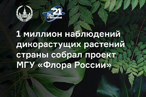 Проект МГУ «Флора России» собрал 1 миллион наблюдений дикорастущих растений страны 