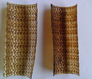 Образцы имплантатов (брюшных сеток) из полипропилена с нанесенным покрытием. Источник: Владимир Зверев 