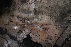 Изображение северного оленя в Серпиевской-2 пещере (Челябинская область).