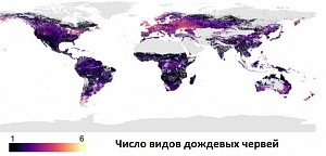 Карта распространения количества видов дождевых червей 
