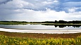 Природное мелководное гиперсолёное содовое озеро Горчина-3 (Кулундинская степь, Алтай), из которого был выделен штамм Омега
