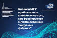 Биологи МГУ приблизились к пониманию того, как формируются внутриклеточные «вирусные фабрики»